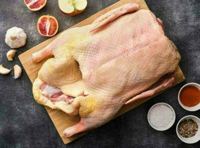Weihnachtsgans von Deichgans Johannsen