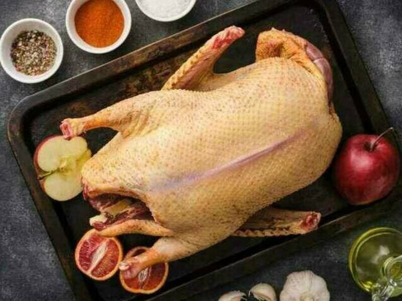 Weihnachtsente von Deichgans Johannsen