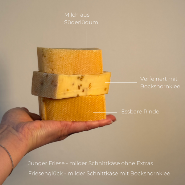 Friesenglück (Bockshornklee)