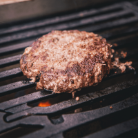 Wagyu-F1 Burger Patties