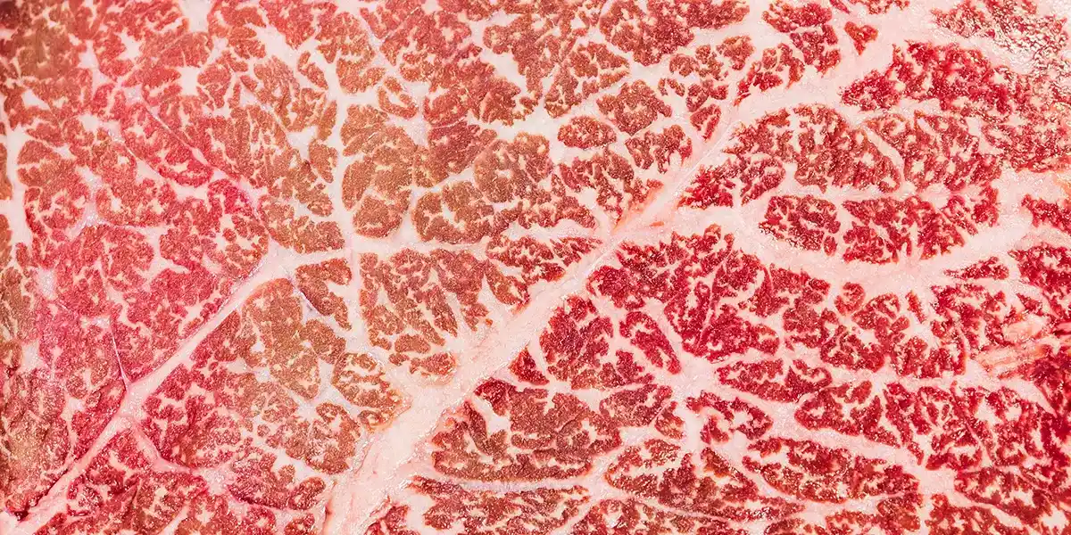 Wagyu 100% Beefsteak Close Up Marmorierung